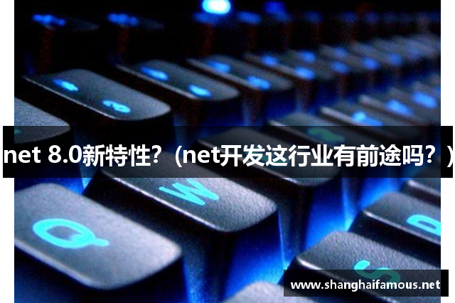 net 8.0新特性？(net开发这行业有前途吗？)